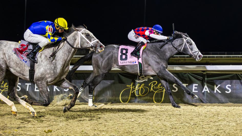 Ennis Eyes Derby Trail After Great White Strikes in Battaglia Memorial